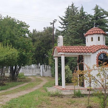 Hephaestus Appartments Litochoro - A2 Bagian luar foto